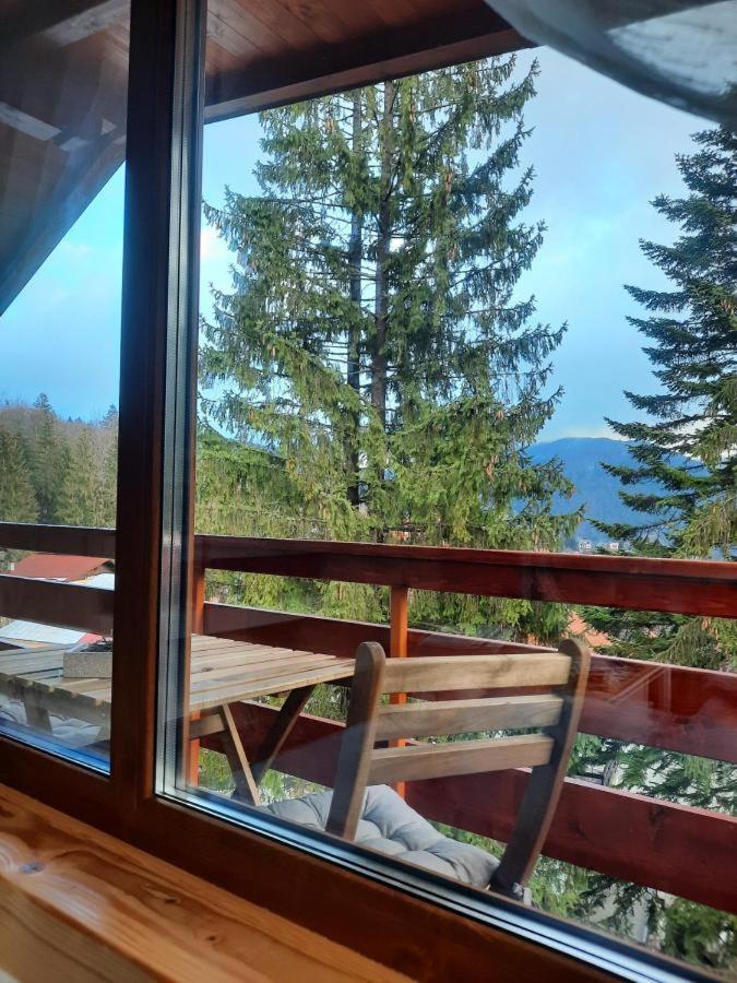 Kalinderu Luxury Ski Loft Buşteni Exterior foto
